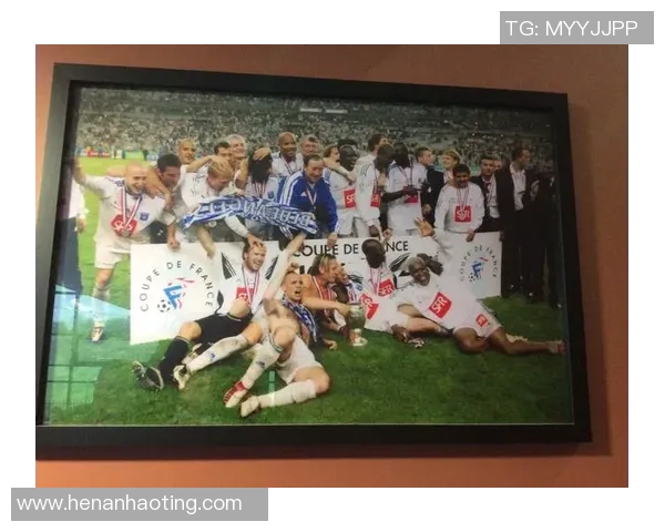 放养足球明星名单及其精彩瞬间的全景展示与分析