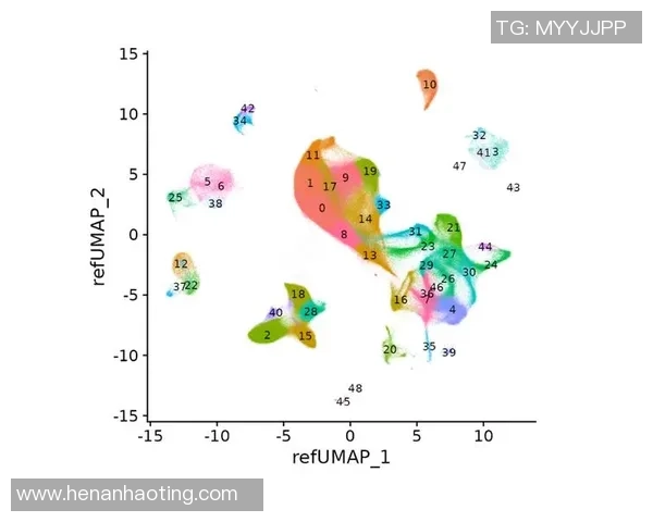 数据分析：V5的技术表现