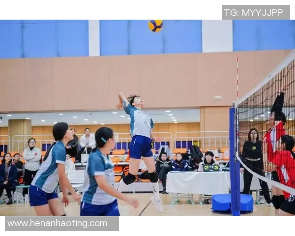 聚焦排球：西安排球队的技术话题